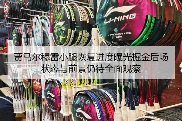 贾马尔穆雷小腿恢复进度曝光掘金后场状态与前景仍待全面观察