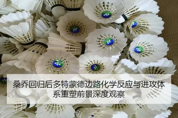 桑乔回归后多特蒙德边路化学反应与进攻体系重塑前景深度观察